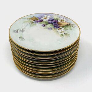 Set Of 12 Hand Painted Porcelain Plates